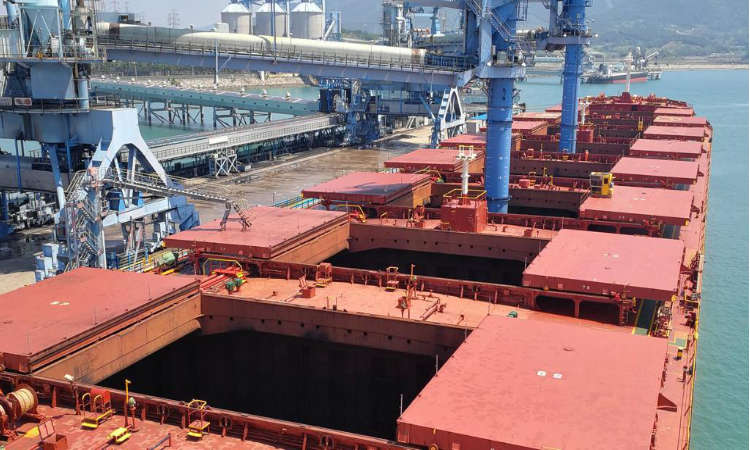 Dry Bulk Weekly Report - D &amp; F Shipping