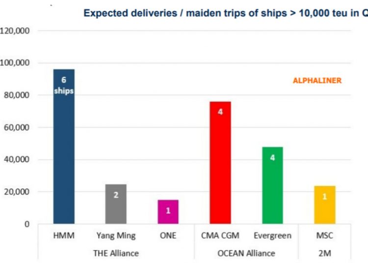 shipping networks