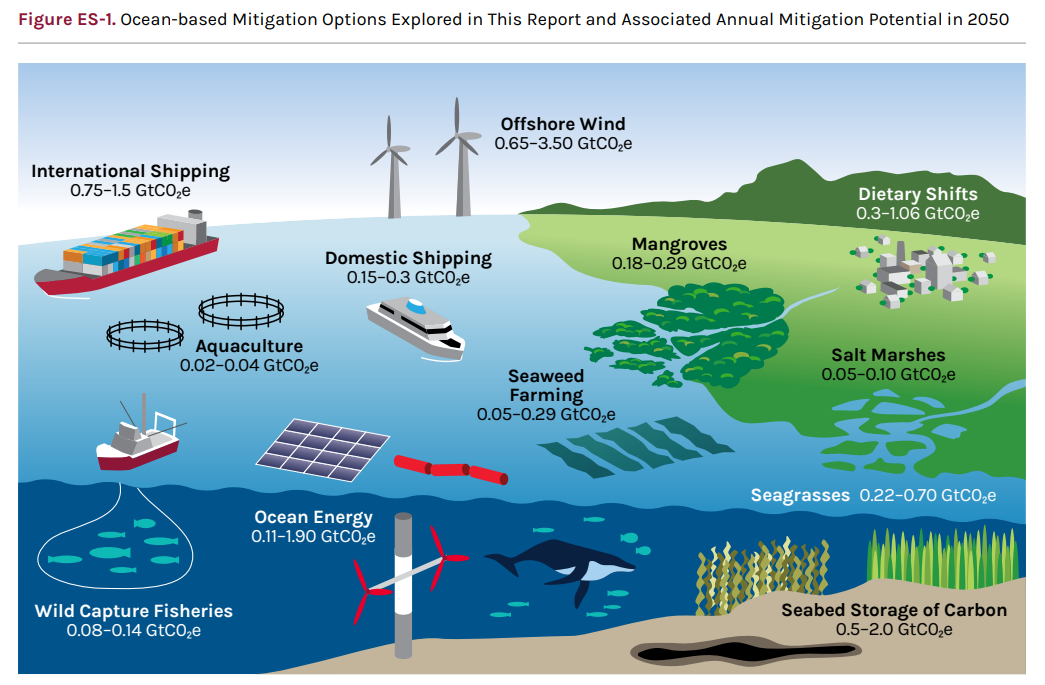 The ocean as a solution to climate change | Global Maritime Hub