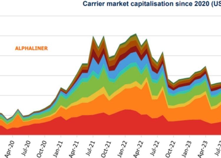 large-cap-carriers- shrinks