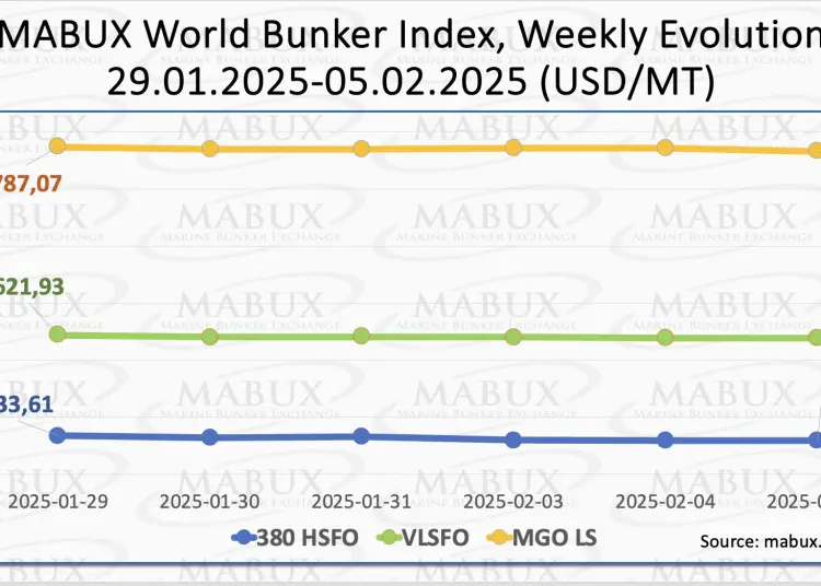 MABUX-Index-W-06