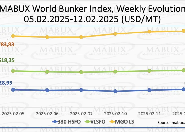 MABUX-Index-W-07