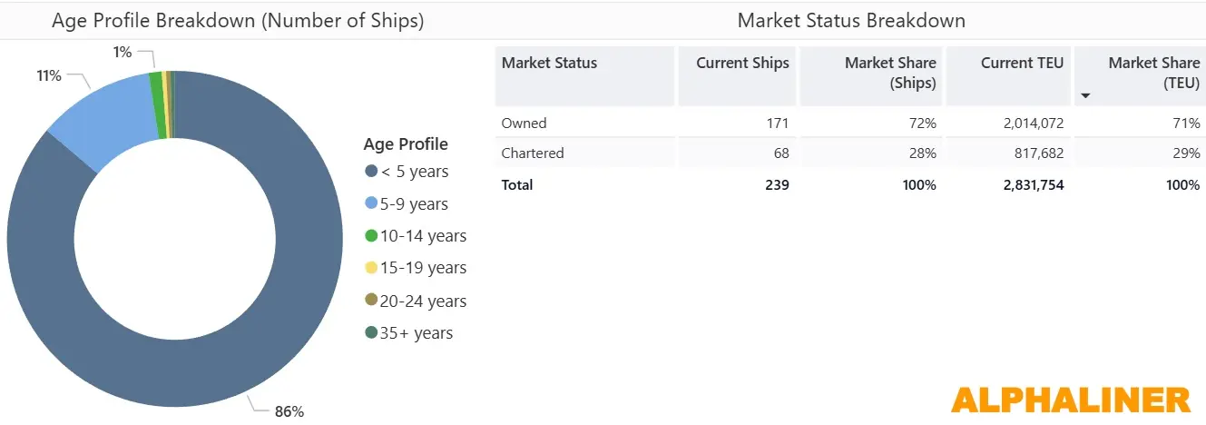 LNG-fuelled container vessel fleet age profile and ownership structure